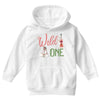 Wild One Youth Hoodie