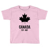 Canada Established 1867 Toddler T-shirt