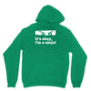 it's ok i'mk a ninja Hoodie