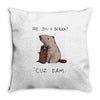dam Throw Pillow