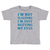 funny dads Toddler T-shirt
