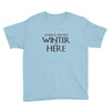 Winter (f80) Youth Tee