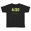 never remember Toddler T-shirt