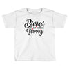 Blessed to be Called Granny Toddler T-shirt