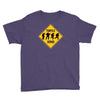 turtle xing Youth Tee