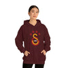 test Unisex Heavy Blend™ Hooded Sweatshirt