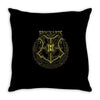 magic school Throw Pillow