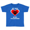 my dog is my valentine (2) Toddler T-shirt