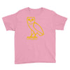 drake, ovoxo owl Youth Tee