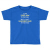 engineer's motto can't understand it for you Toddler T-shirt