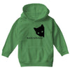 black cats rule Youth Hoodie