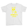 no drama llama (2) Youth Tee