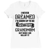 Perfect Freakin Grandmom Ladies Fitted T-Shirt