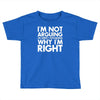 i'm not arguing i'm simply explaining why i'm right Toddler T-shirt