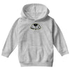 panther (2) Youth Hoodie