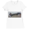 20170307 214809 1 Ladies Fitted T-Shirt