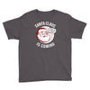 santa claus is coming Youth Tee