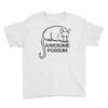 awesome Youth Tee