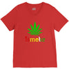 is smoke V-Neck Tee