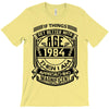 Things Better 1984 Age Approach Magnificent T-Shirt
