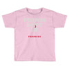 friends don't lie Toddler T-shirt