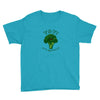 one cheer for broccoli Youth Tee