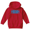 this is my fancy dress costume Youth Hoodie