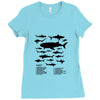 shark chart Ladies Fitted T-Shirt