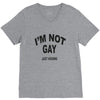 i'm not gay just kidding V-Neck Tee