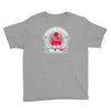 ironman triathlon 70 Youth Tee
