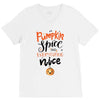 pumpkin spice and everything nice V-Neck Tee