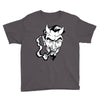 no sympathy for the devil Youth Tee