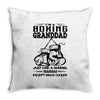 I'm A Boxing Granddad... Throw Pillow