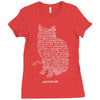 schr&ouml;dinger&rsquo;s equation Ladies Fitted T-Shirt