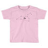 Leo Star Toddler T-shirt