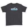 i joined the mile high club if that means tickling the pilot Youth Tee