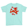 Chinese New Year Symbol Youth Tee