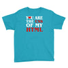 i love css  you are the css of my html heart heart Youth Tee