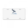 dolphin rider License Plate