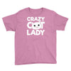 crazy cat lady Youth Tee