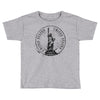 usa Toddler T-shirt