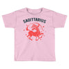sagittarius zodiac Toddler T-shirt