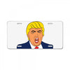 curse License Plate