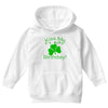 kiss me i't my birthday pi Youth Hoodie