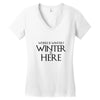 Winter (f80) Women's V-Neck T-Shirt