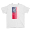 t-rex vintage american flag Youth Tee