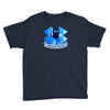 schrodingers dropbox Youth Tee