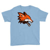 vpn orangge Youth Tee