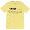 Feminist Noun T-Shirt