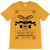 vintage 1971 a star was born aged perfection T-Shirt